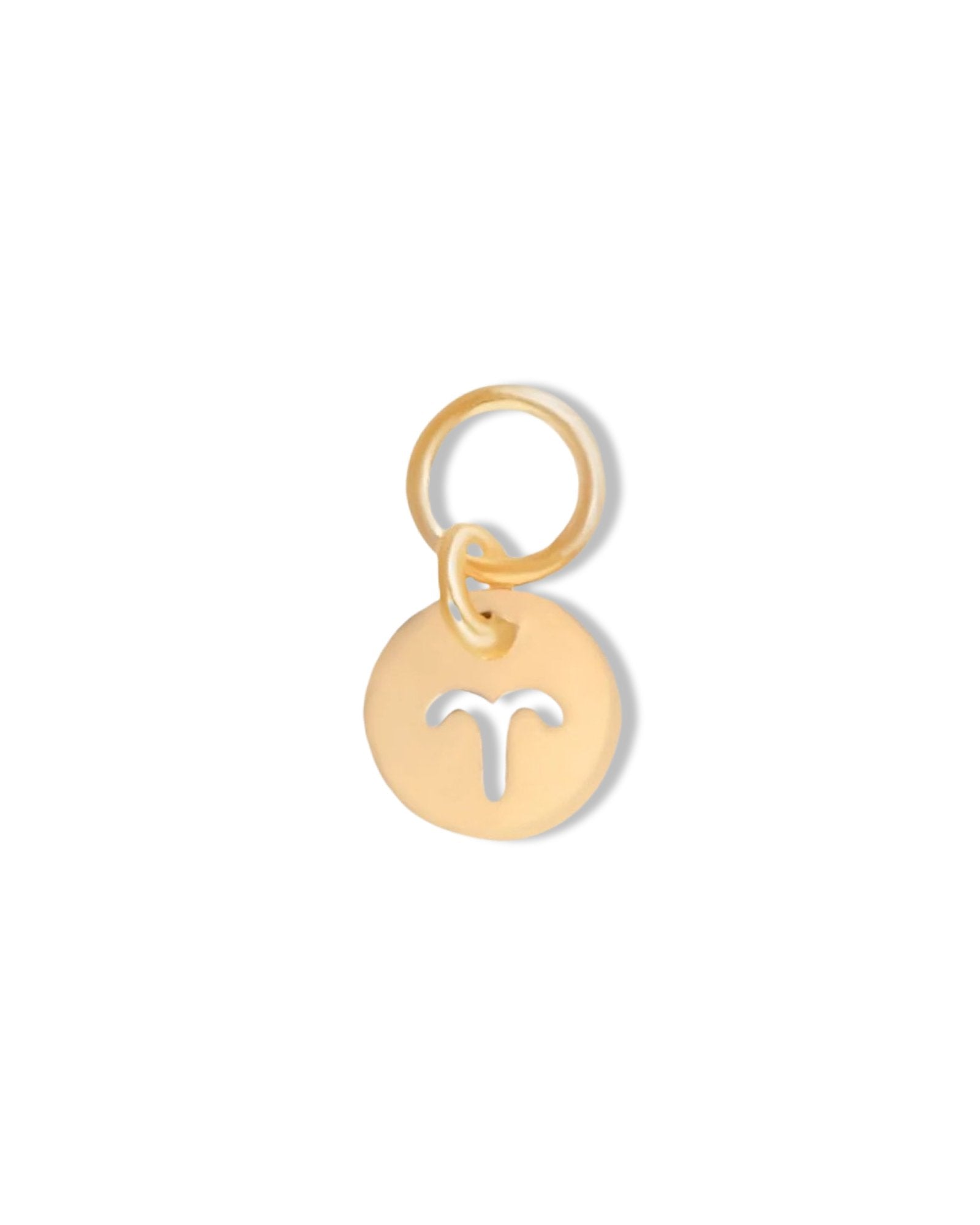 Gold Filled 7MM Zodiac Charm - Main Image